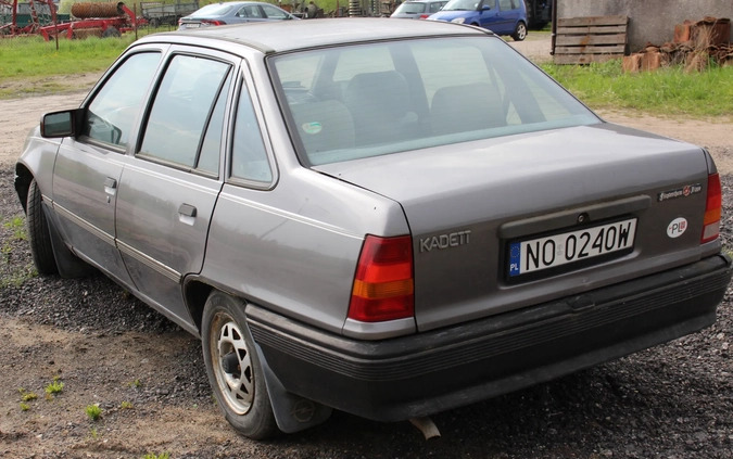 Opel Kadett cena 2800 przebieg: 76000, rok produkcji 1988 z Olsztyn małe 232